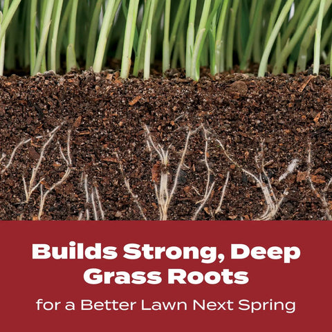 Fall Lawn Fertilizer Sets Up Solid Roots For Serious Recovery From Summer Slump And Heat Stress Delivering Nourishment To Thicken And Deepen Your Grass While Preparing Your Yard To Shine Bright When Spring Arrives showing healthy grass roots in soil.