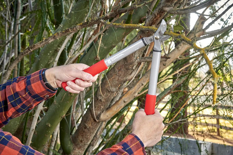 Forged Steel ClassicCUT Bypass Hand Pruner for heavy-duty garden pruning, cutting branches of a tree, visible red handle