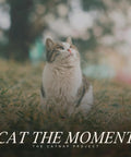 Tabby cat sitting on grass under cloudy sky background.