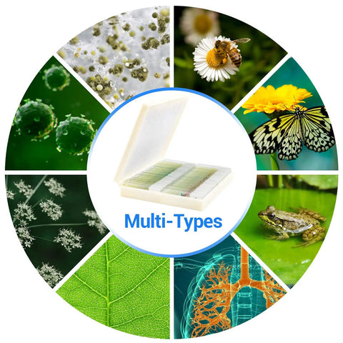 100 Prepared Microscope Slides With Specimens For Kids And Adults Bacteria Fungus Human Tissues Mitosis Plants Insects And Animal Cells