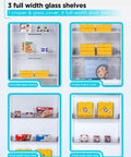 No Sweat Setup 21 Cubic Feet Convertible Freezer And Refrigerator Stand Up Cabinet with glass shelves and door bins.