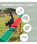 Agility Dog Seesaw With Color Contact Zones For Safe Training Build Balance And Confidence During Dog Fitness And Agility Practice Pro Grade Build Built For Indoor Or Outdoor Use With A Durable Non Slip Surface And Safe Teeter Action showing a cat walking on it outdoors.