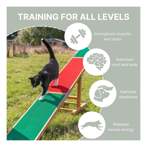 Agility Dog Seesaw With Color Contact Zones For Safe Training Build Balance And Confidence During Dog Fitness And Agility Practice Pro Grade Build Built For Indoor Or Outdoor Use With A Durable Non Slip Surface And Safe Teeter Action showing a cat walking on it outdoors.