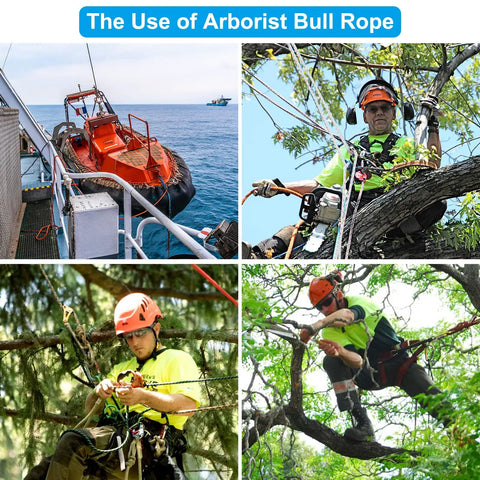 Arborists using Five Eighths Inch By Two Hundred Feet Polyester Bull Rope Arborist Rigging Line for pulling trees and rigging.