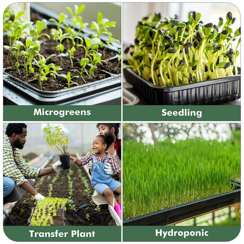 Collage showing uses of Upgraded 10 Pack Plant Growing Trays For Seed Starting And Microgreens No Holes No Leakage Durable Reusable Plastic Germination Starter Flats Seedling Tray Set For Transplants And Fodder For Indoor Garden.