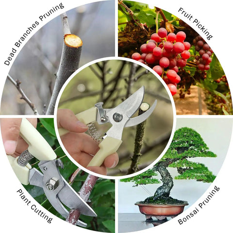 Two Piece Professional Pruning Shears Set With Bypass Pruner And Straight Blade Garden Scissors for pruning and plant care