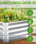 Galvanized Raised Garden Bed Kit 4 By 2 By 1 Foot Big Ol Bottomless Metal Planter Box filled with vegetables, herbs, and flowers