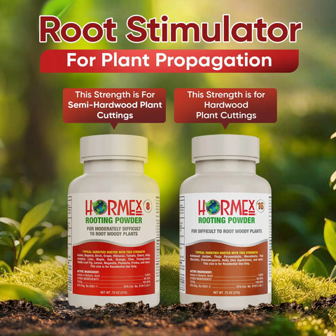 Rooting Hormone Powder For Plant Cuttings 0.80-1.60% IBA, Semi-Hardwood Starter, Speeds Up Root Growth For Any Plant Varieties, Ready-To-Use Pack For Faster Rooting Results In All Plant Types. Two white bottles on garden background.