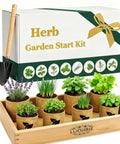 Indoor Herb Garden Starter Kit All In One Garden Set With 8 Biodegradable Pots Soil Discs And 8 Non GMO Seeds Basil Mint Oregano
