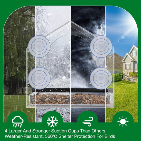 Window Bird Feeder With Four Extra Strong 2.36 Inch Suction Cups And Extra Deep Removable Tray For Large Capacity Clear Housing