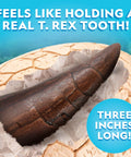 Mega Dinosaur Egg Dig Kit With 12 Dino Figures, Jumbo Excavation Brick Over 6 Inches Tall, Realistic Tools For Uncovering Fossil Fun And Hands On Paleontology Play, 3-inch T. rex tooth display