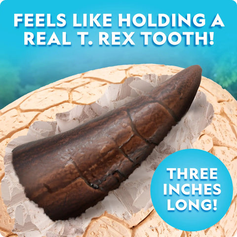 Mega Dinosaur Egg Dig Kit With 12 Dino Figures, Jumbo Excavation Brick Over 6 Inches Tall, Realistic Tools For Uncovering Fossil Fun And Hands On Paleontology Play, 3-inch T. rex tooth display