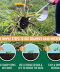 Lightweight Hand Weeder Tool For Garden Weeding With V Shaped Forks Easy Root Removal Durable Stainless Steel Build in use on dandelion