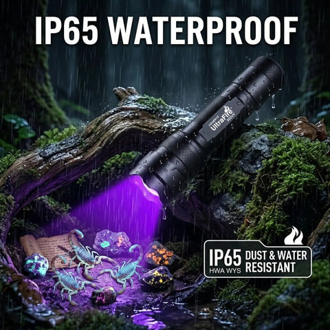 Ultra Bright UV Blacklight Flashlight with 395 405 Nm LED illuminating rocks and scorpions, shown as water-resistant in nature.