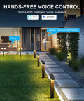 Low Voltage Outdoor LED RGBW Landscape Lights 12V 8W, 400LM Smart Path Lights With App Control and Alexa in a nighttime garden