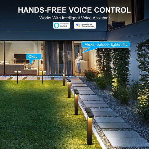 Low Voltage Outdoor LED RGBW Landscape Lights 12V 8W, 400LM Smart Path Lights With App Control and Alexa in a nighttime garden