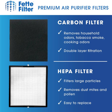 BF35 True HEPA H13 Replacement Filter For Classic Air Purifier Silver Carbon Compatible Pack Of 1 Carbon and HEPA filter features