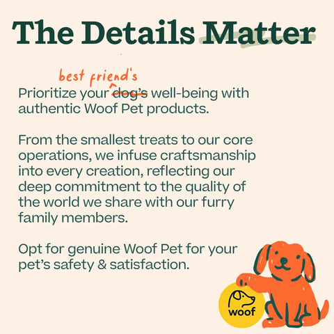 The Details Matter poster for Woof Pet, with text about pet safety and a cartoon dog logo.