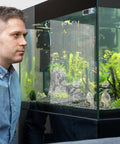 Man observing aquarium with Two Heavy Duty Plastic Fish Tank Dividers With Grip Tight Self Adhesive Hooks And Quick Release Cable Ties.