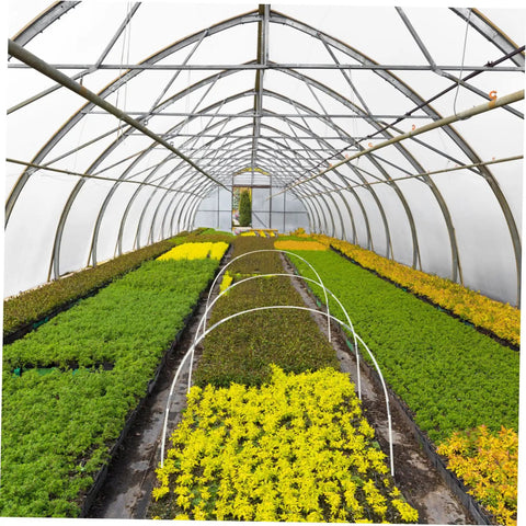 Greenhouse Plant Support Bracket Kit For Gardeners, PVC Clamps And Hooks To Hold Plastic Covers, Easy Soil Insertion Climbing Frame For All Season Plant Protection And Better Growth