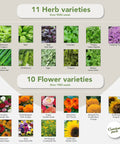 Image showing 11 herb varieties and 10 flower varieties from the Dope Garden Seed Kit With 50 Veggie, Herb And Flower Varieties For Easy Planting, 25,000 Non GMO Heirloom Seeds, High Germination Rates, The Ultimate Gift For Men And Women Into Growing Their Own Food, including marjoram, basil, and sunflowers.