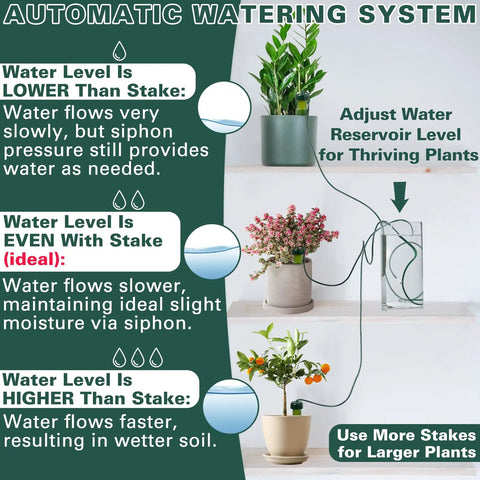 Diagram showing self watering stakes for indoor outdoor plants, terracotta drippers, automatic spikes in use with potted plants.