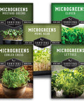 Five Variety Microgreens Seed Kit For Indoor Sprouting With Mustard Mung Bean Curled Cress Clover And Lettuce Heirloom Non GMO Starter Pack For Quick Indoor Harvest And Homegrown Flavor packaging image