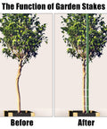 Beefy Sturdy Garden Stakes 83 Inch Heavy Duty Metal Plant Supports Plastic Coated 25 Pack Perfect For Staking Trees Before After