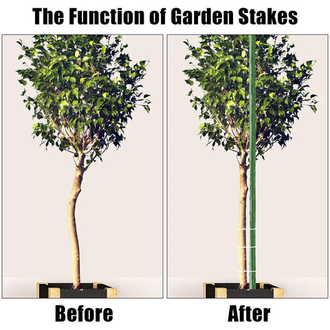 Beefy Sturdy Garden Stakes 83 Inch Heavy Duty Metal Plant Supports Plastic Coated 25 Pack Perfect For Staking Trees Before After