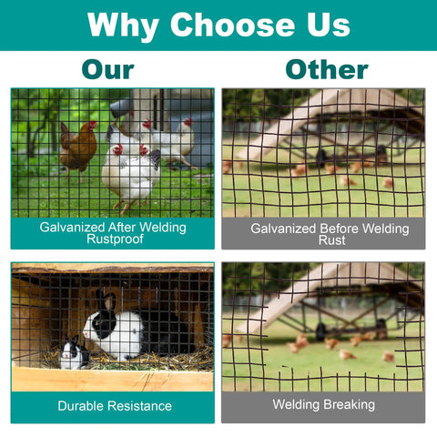 Kickass Black Hardware Cloth 1/2 Inch By 24 Inches By 50 Feet Long 19 Gauge Premium Grade Welded Steel Wire Mesh Roll protecting chickens and rabbits.