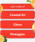 Coastal Sunshine Citrus PlugIns Air Freshener Starter Kit With 1 Warmer And 1 Refill, scent notes of coastal air and pineapple