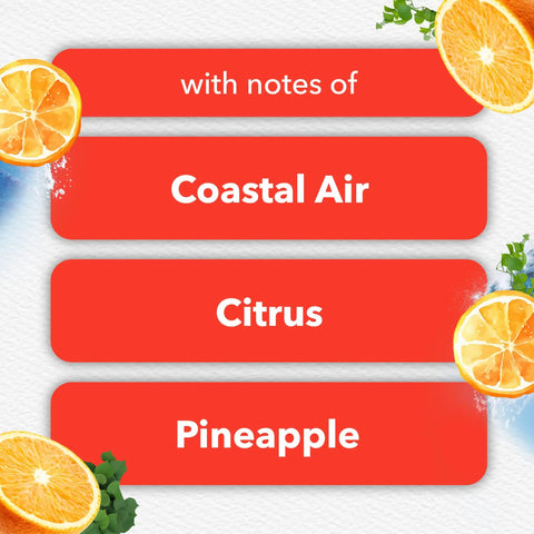 Coastal Sunshine Citrus PlugIns Air Freshener Starter Kit With 1 Warmer And 1 Refill, scent notes of coastal air and pineapple