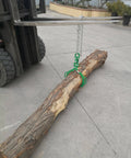 Log Lifting Tongs With Two Serrated Swivel Claws 32 Inch Opening Heavy Duty Timber Grapple attached to forklift lifting a log
