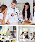 Students and teacher using Hands On Molecular Model Kit With 444 Pieces For Organic Chemistry Atoms And Bonds C60 Included