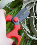 Person using Floral Scissors Set Of 3 With Carbon Steel Blades For Precise Flower Pruning And Arranging on plant.