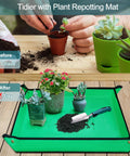 Plant repotting mat with potted succulents, gardening tools, and tidy soil arrangement; before and after tidiness shown.