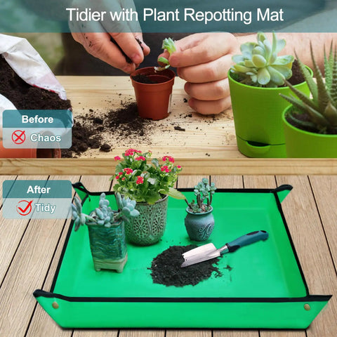 Plant repotting mat with potted succulents, gardening tools, and tidy soil arrangement; before and after tidiness shown.