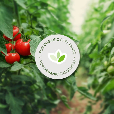 Tomato plants in a garden with a badge for Organic Garden Insect Killer Spray For Home Gardens And Greenhouses Kills 100 Plus Listed Pests On Contact Safe For Use Up To Day Of Harvest 32 Fluid Ounces