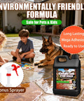 Top Shelf Wet Look Stone Sealer One Gallon Ultra Gloss Paver And Concrete Coating in use with kids and dog on sealed patio.