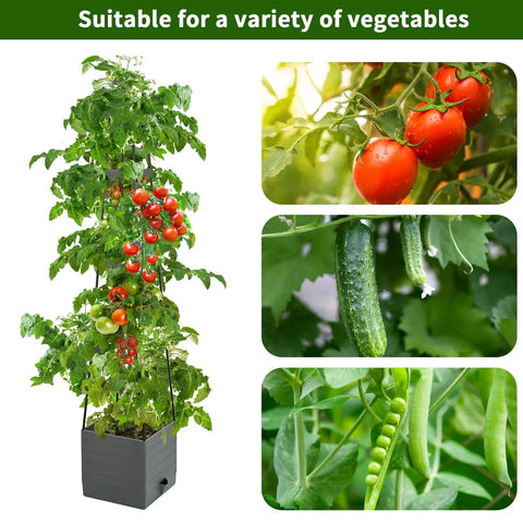 Two Pack Raised Garden Bed Planter Boxes With Trellis, 58.3 Inch Tall For Climbing Tomatoes And Vines, Self Watering System