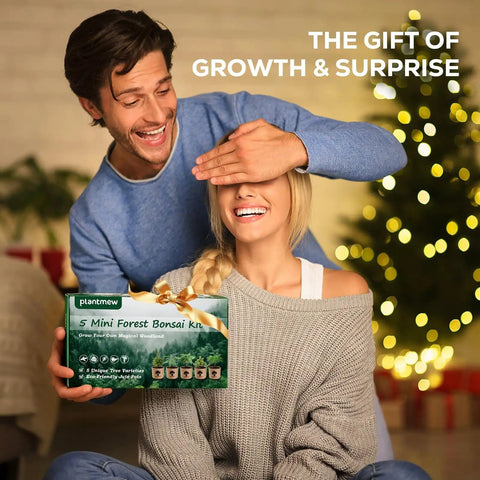 Couple presenting Indoor Bonsai Starter Kit For Adults With Jacaranda Seeds, Tools And Planter, Totally Beginner Friendly