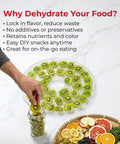 Straight Up Five Tray Food Dehydrator Machine With Adjustable Temperature Dial Horizontal Heat Flow For Preparing Homemade Jerky Fresh Herbs Ripe Fruit Crunchy Veggies Zero Additives Bpa Free White, showcasing dehydrated kiwi slices.