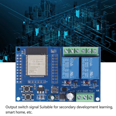 Dual Channel 5V Relay Module For ESP32 Maker Friendly, 4MB Flash Large Capacity Programmable Relay Board, top view