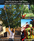 Person using Telescoping Fruit Picker Pole With Basket For Tree Harvesting Adjustable 35 To 95 Inch to pick fruit from tree.