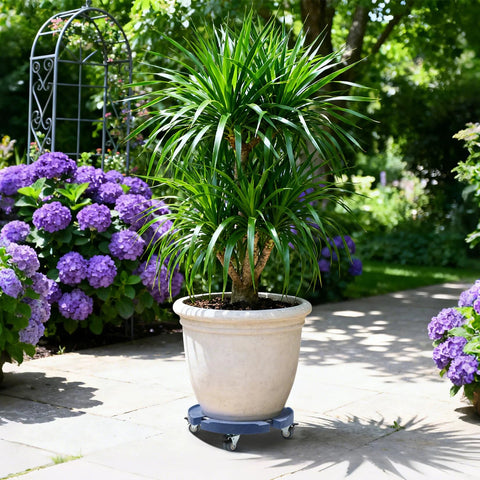 Adjustable Plant Caddy With Wheels For 15 To 19 Inch Round Bases Heavy Duty 440 Lbs Drum Cart in use with large planter in garden