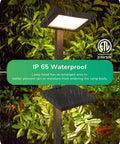 Low Voltage LED Pathway Lights 5.6W 151 Lumen 3000K Warm White 12V waterproof light showing IP65 rating in garden setting