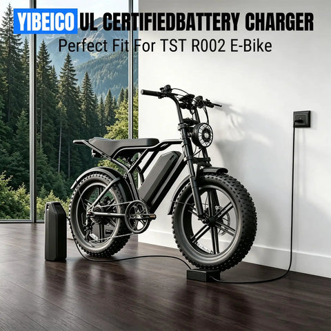 54.6V 2.5A 3 Pin Fast Charger For TST R002 R002S E Bikes waterproof power adapter charging an e-bike indoors