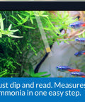 Ammonia Test Strips For Freshwater And Saltwater Tanks used in aquarium with fish swimming and green plants.