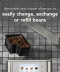 Sleek And Straight Up Fully Automatic Espresso Machine With Removable Bean Hopper One Touch Frothing System Forty Plus Barista Grade Cups Smooth Stainless Steel Housing For Daily Use with open bean hopper.