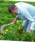 Person using Manganese Steel Long Handle Weeding Sickle for Grass Vines and Branches in garden